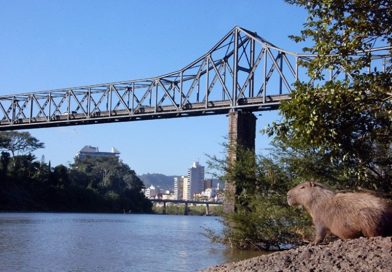 Ponte de Ferro será interditada neste domingo para montagem do Natal em Blumenau